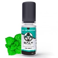 E liquide Ice Mint Salt E-Vapor | Sel de Nicotine