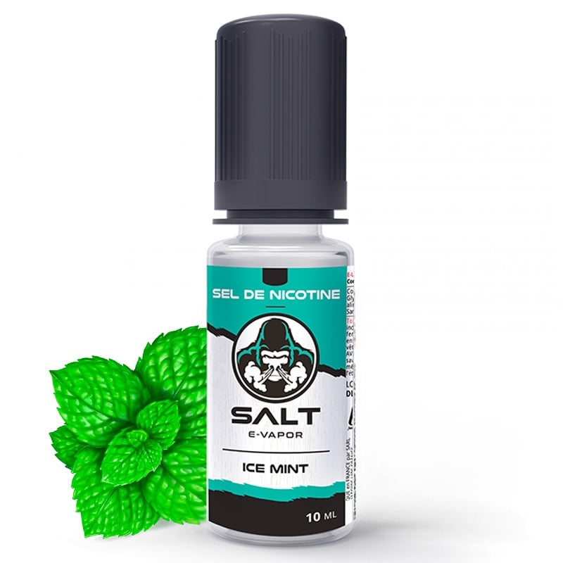 E liquide Ice Mint Salt E-Vapor | Sel de Nicotine
