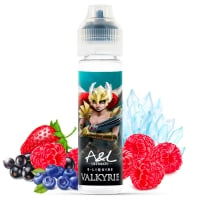 E liquide Valkyrie Ultimate 50ml