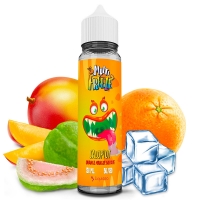 E liquide Salopiot Liquideo 50ml