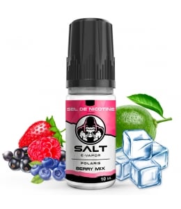 E liquide Polaris Berry Mix Salt E-Vapor | Sel de Nicotine