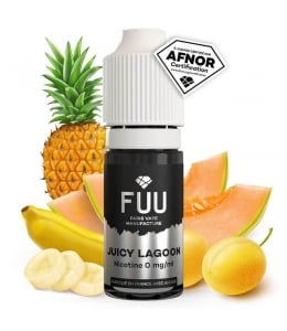 E liquide Juicy Lagoon Silver FUU | Melon Ananas Fruits jaunes
