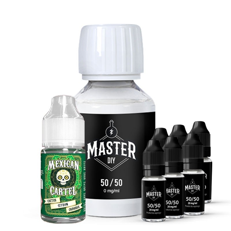 Pack DIY Cactus Citron Corossol