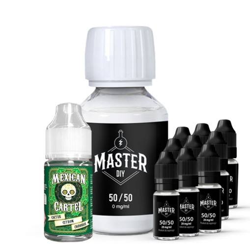 Pack DIY Cactus Citron Corossol