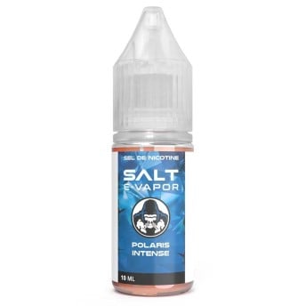 E-liquide Polaris Intense Salt E-Vapor 10ml