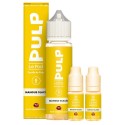 Pack Mangue Glacée Le Pod liquide by PULP 60ml