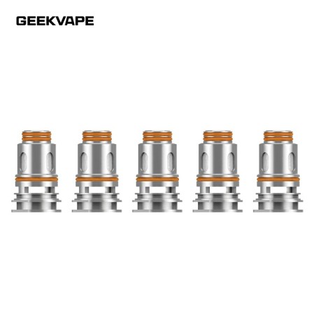 Résistances P Geekvape (X5)