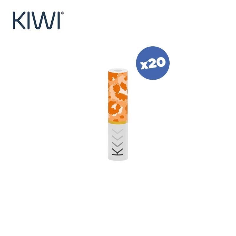 Filtres Kiwi Vapor (X20) : pour pod Kiwi Pen