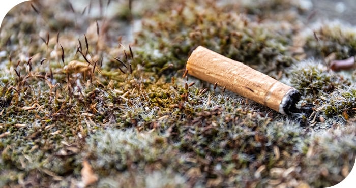 les mégots, un désastre environnemental
