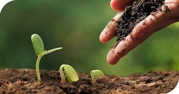 une impossibilité de fabriquer un e-liquide 100% bio 