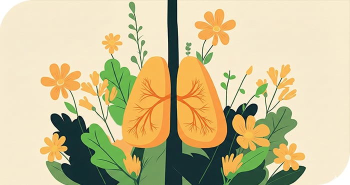 pour un monde sans fumée